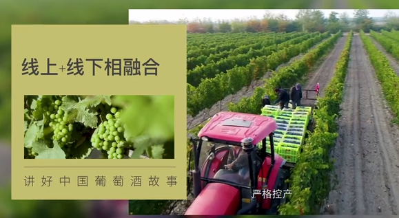 第二屆中國（寧夏）國際葡萄酒文化旅游博覽會先睹為快